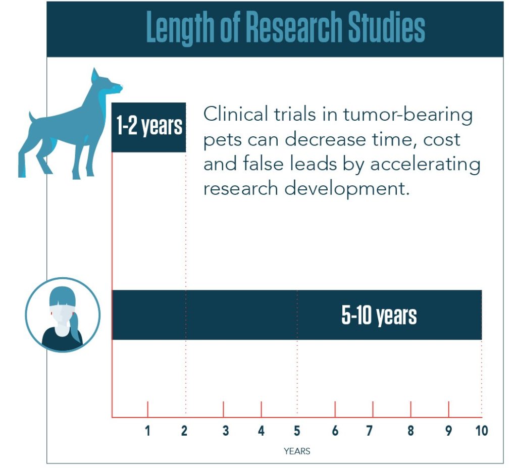 length of research studies chart