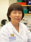 Qing Li, M.D., Ph.D.