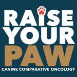 The V Foundation for Cancer Research to Launch ‘Raise Your Paw’ Campaign at AKC Meet the Breeds®
