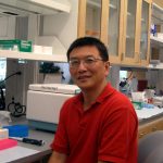 Wei Chen, Ph.D.