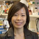 Rebecca Chin, Ph.D.