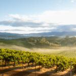 Sonoma Epicurean