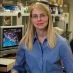 Jessica K. Bell, Ph.D.