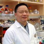 Zhenge John Wang, Ph.D.
