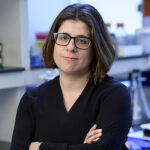 Agnel Sfeir, PhD