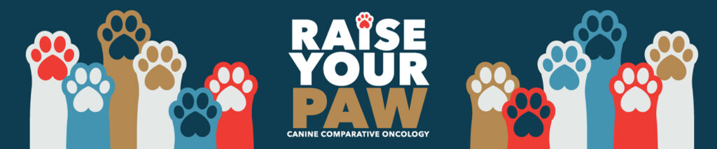 The V Foundation for Cancer Research to Launch ‘Raise Your Paw’ Campaign at AKC Meet the Breeds®