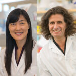 Michele Carbone, MD, PhD